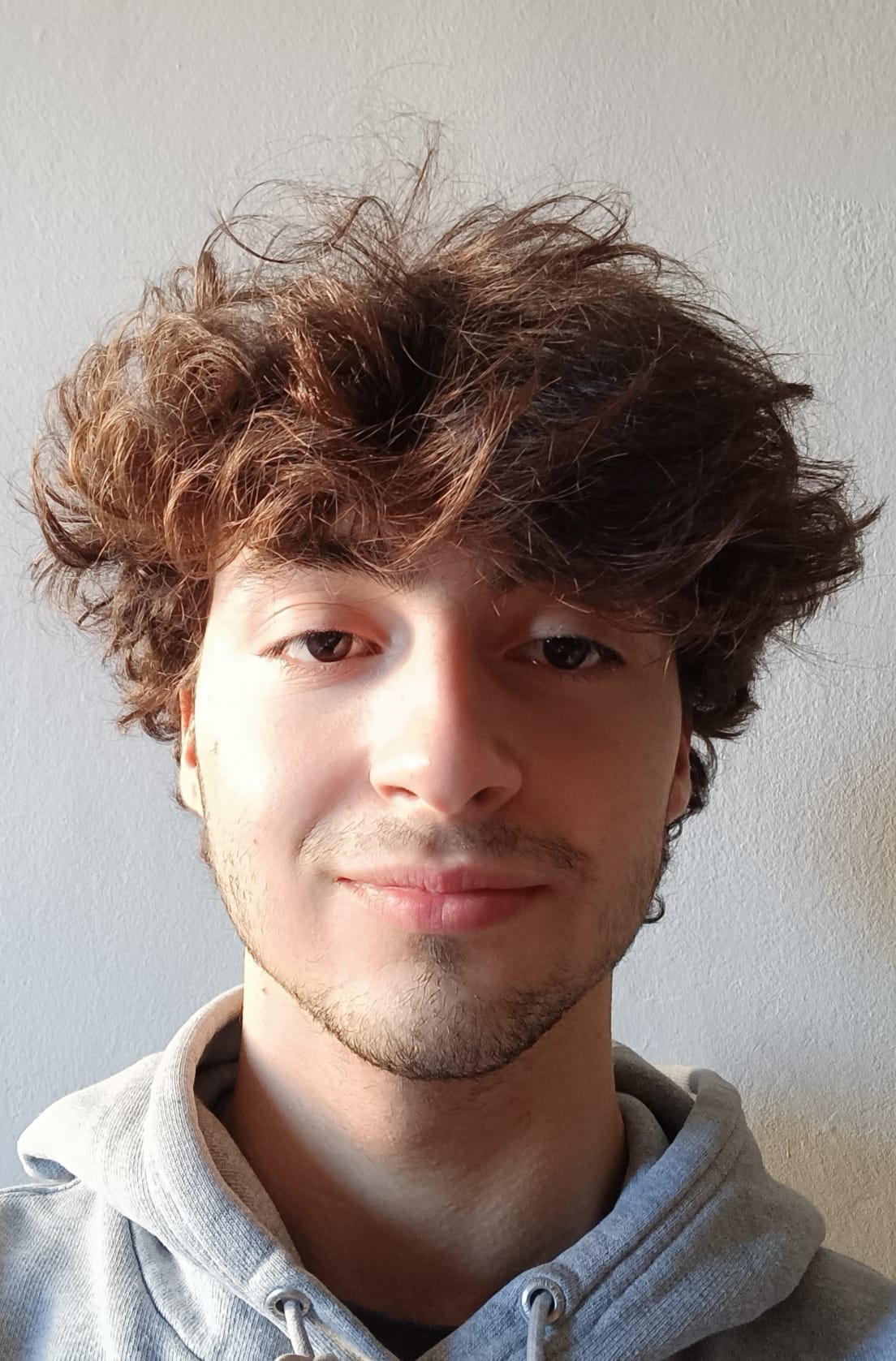 Nicolo' DEL CONTRASTO