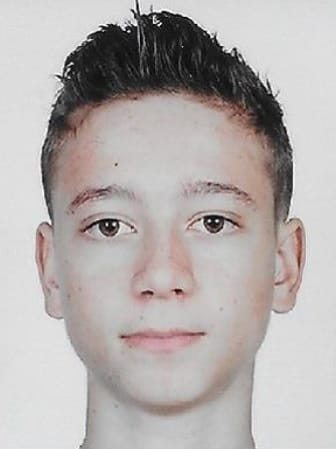 Raphael DOMINICI